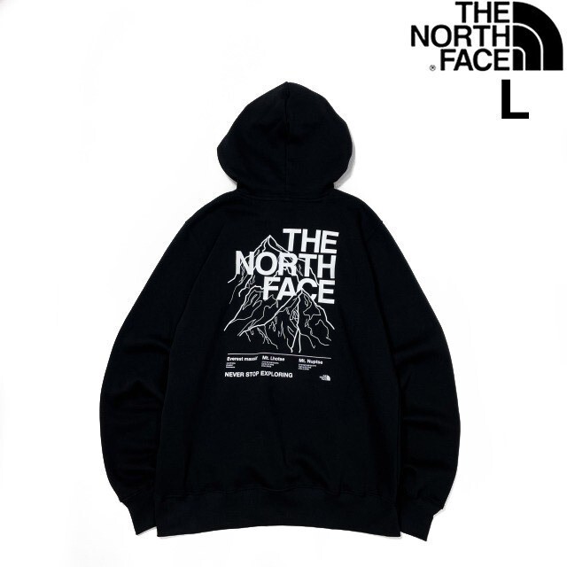 売切り【正規新品】THE NORTH FACE◆NOVELTY GRAPHIC HOODIE プルオーバー パーカー US限定 グラフィック 男女兼用 裏起毛(L)黒 181130-33_画像1