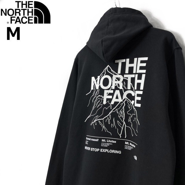 売切り【正規新品】THE NORTH FACE◆NOVELTY GRAPHIC HOODIE プルオーバー パーカー US限定 グラフィック 男女兼用 裏起毛(M)黒 181130-33_画像2