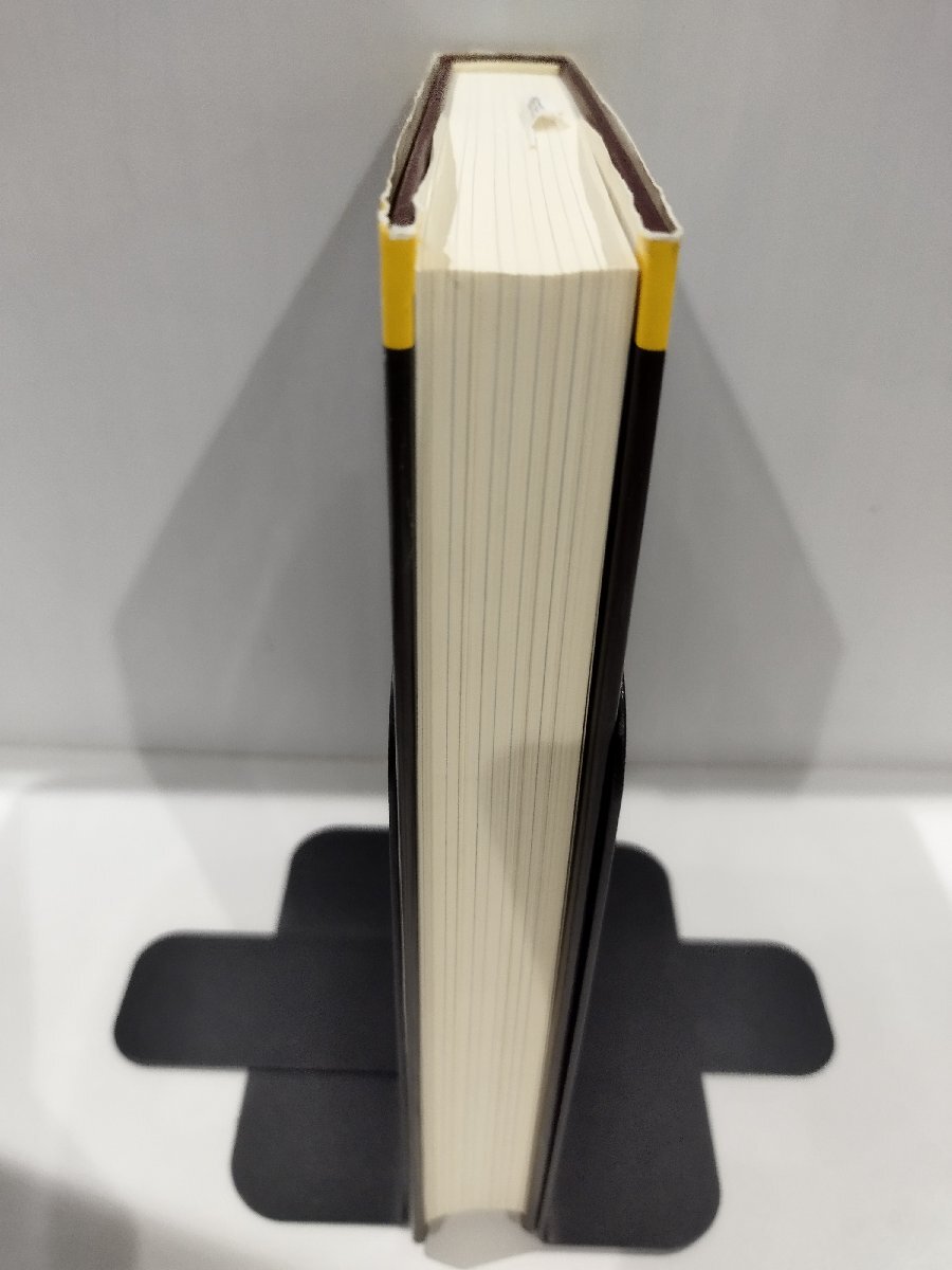 経済物理学 青山秀明/家富洋/池田裕一/相馬亘/藤原義久 共立出版【ac04e】_画像4