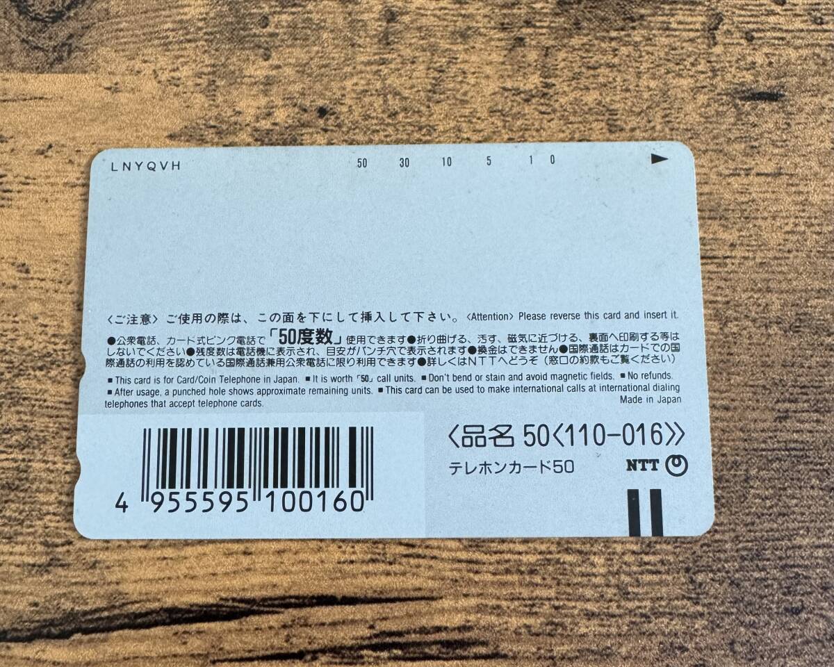 第45回阪神大賞典 マヤノトップガン ダービーを一生遊ぶ 鑑賞限定 テレカ _画像2