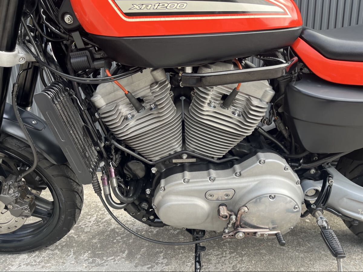 ★2009年XR1200！希少車！即決特典あり！_画像4