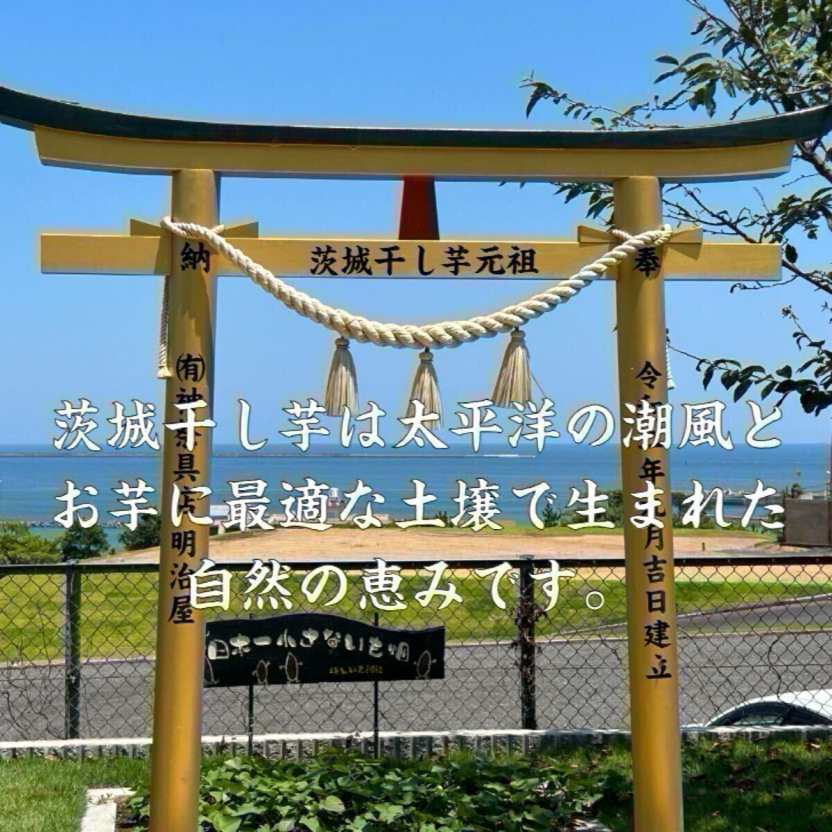 M1.5H1.5 紅ハルカ 丸干し1500g＆平切り1500ｇ 茨城県産 国産無添加 産地直送 柔らかい 甘い 黄金干し芋 ほしいも お菓子_画像9