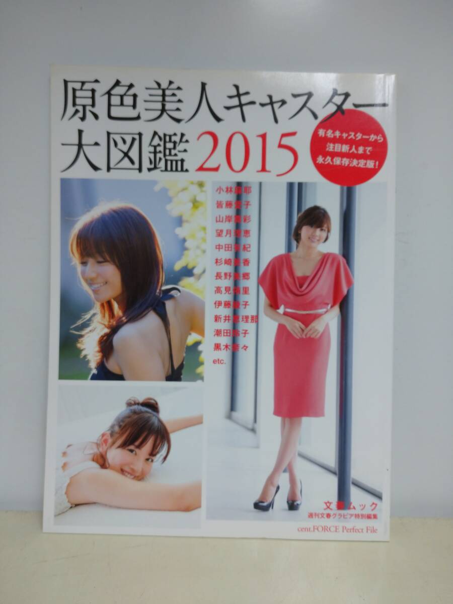 原色美人キャスター大図鑑 2015年_画像1