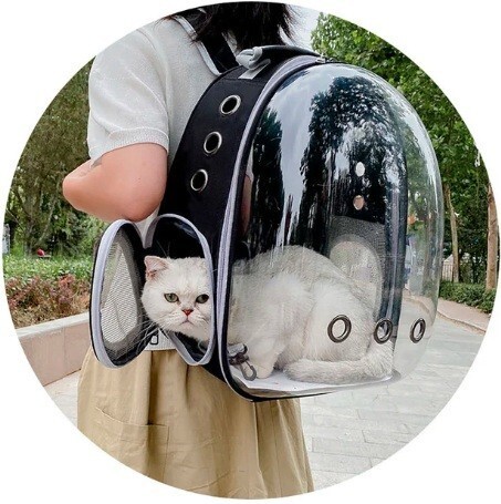 [ новый товар ] Carry домашнее животное сумка прозрачный домашнее животное Carry кошка рюкзак ( чёрный цвет )