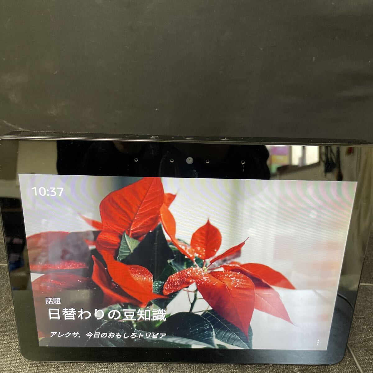 Amazon Echo Show 第2世代 DW84JL 動作確認済み 初期化済み アマゾン スクリーン付きスマートスピーカー アレクサ 1_画像1