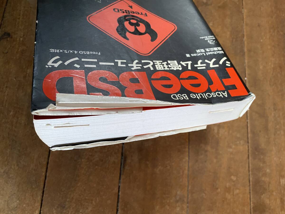  Professional BSD FreeBSD тщательный введение модифицировано . версия FreeBSD интернет сервер внедрение план др. BSD управление человек предназначенный специализация документ комплект 