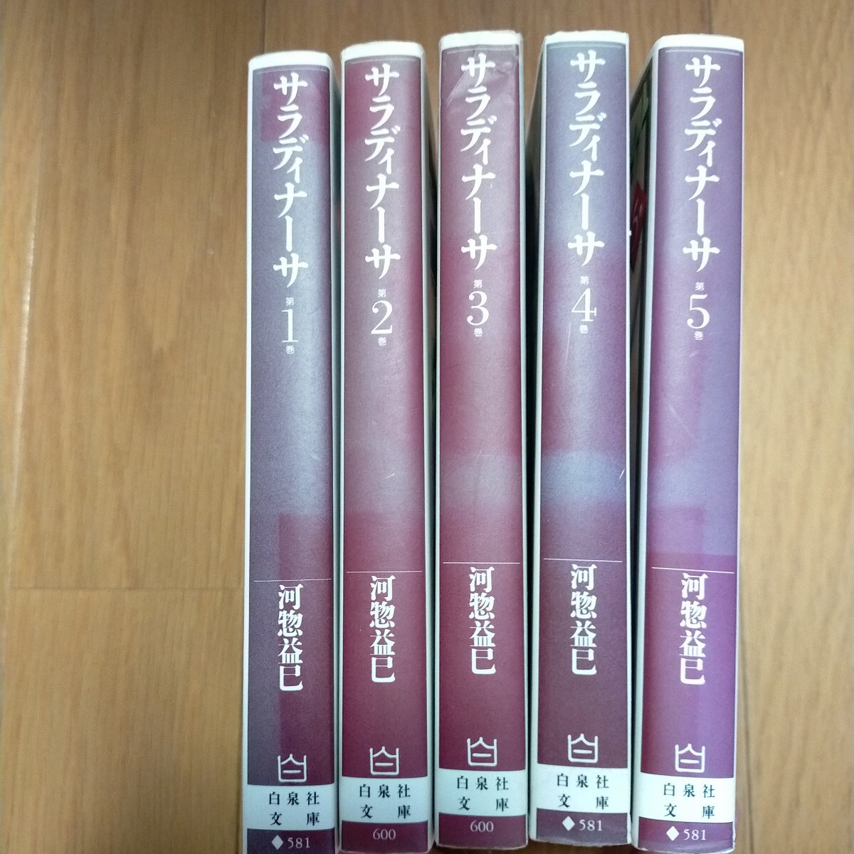 レア 完結 サラディナーサ 全5巻 (白泉社文庫) 河惣益巳/著_画像2
