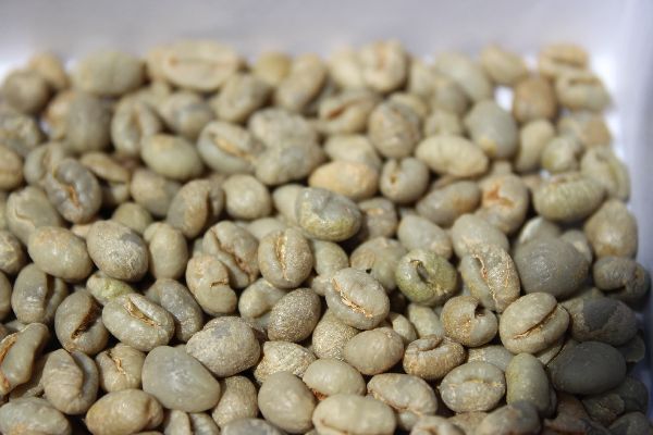 ★特別価額★スペシャルブレンド　1㎏生豆☆★_画像1