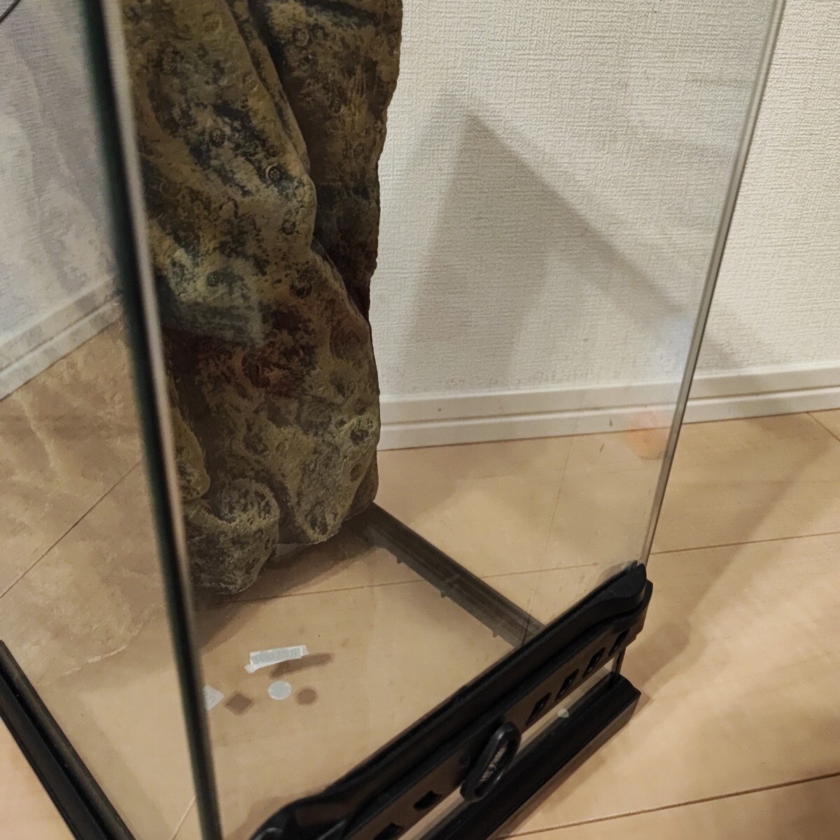 ジェックス EXO TERRA (エキゾテラ) グラステラリウム ナノ_画像3