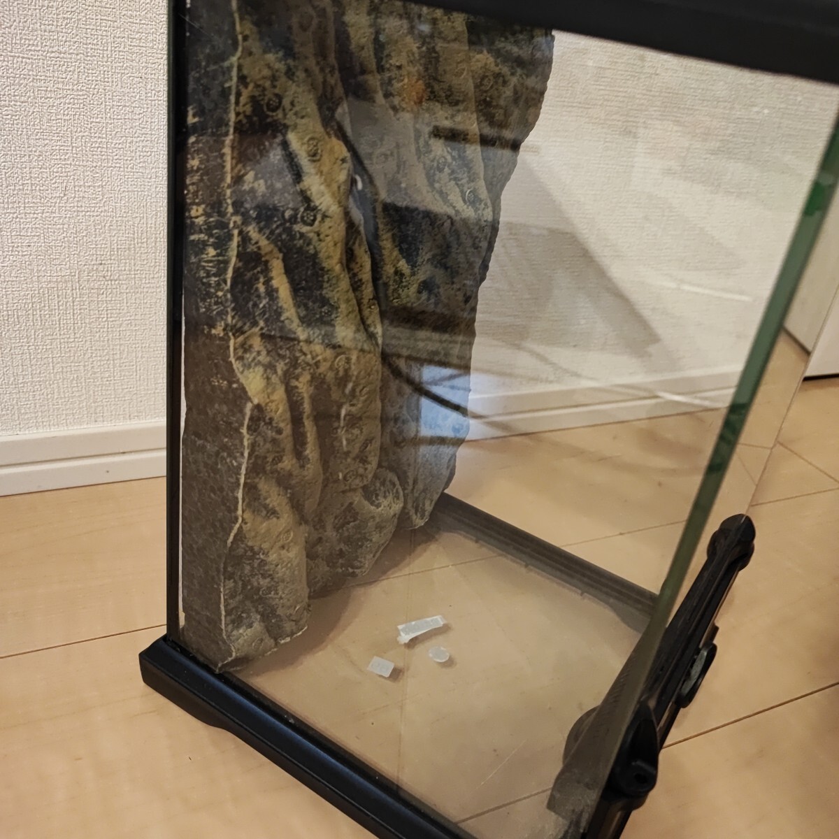 ジェックス EXO TERRA (エキゾテラ) グラステラリウム ナノ_画像4