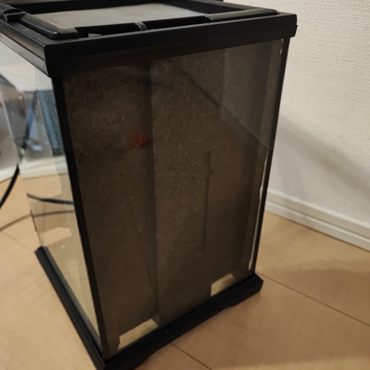 ジェックス EXO TERRA (エキゾテラ) グラステラリウム ナノ_画像6