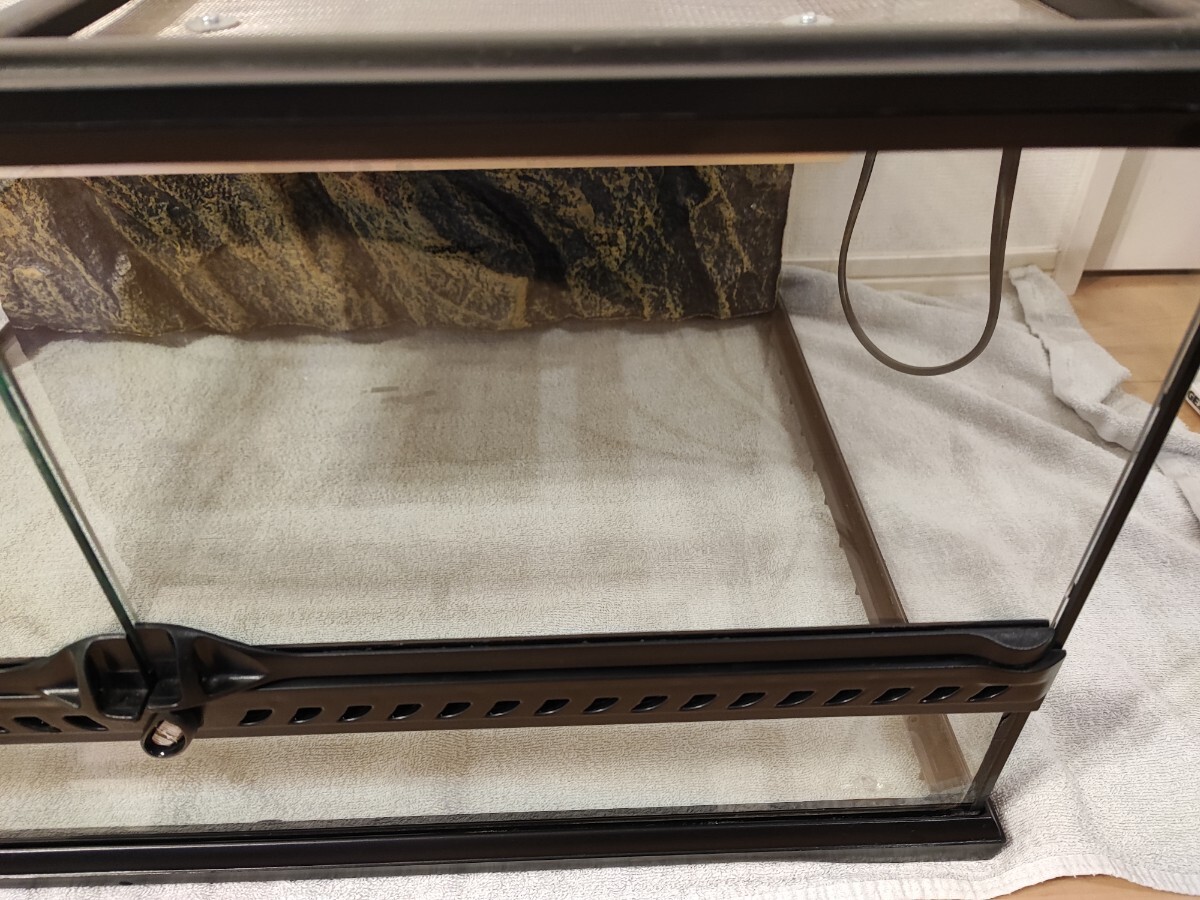 【1円スタート!】エキゾテラ GEX EXOTERRA グラステラリウム6030 PT2604 両開き 爬虫類飼育ケージ みどり商会 暖突 L サイズ_画像5