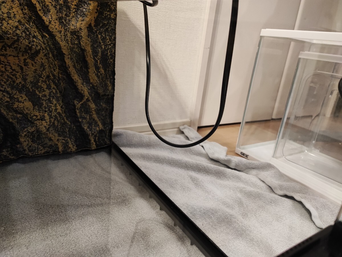 【1円スタート!】エキゾテラ GEX EXOTERRA グラステラリウム6030 PT2604 両開き 爬虫類飼育ケージ みどり商会 暖突 L サイズ_画像8