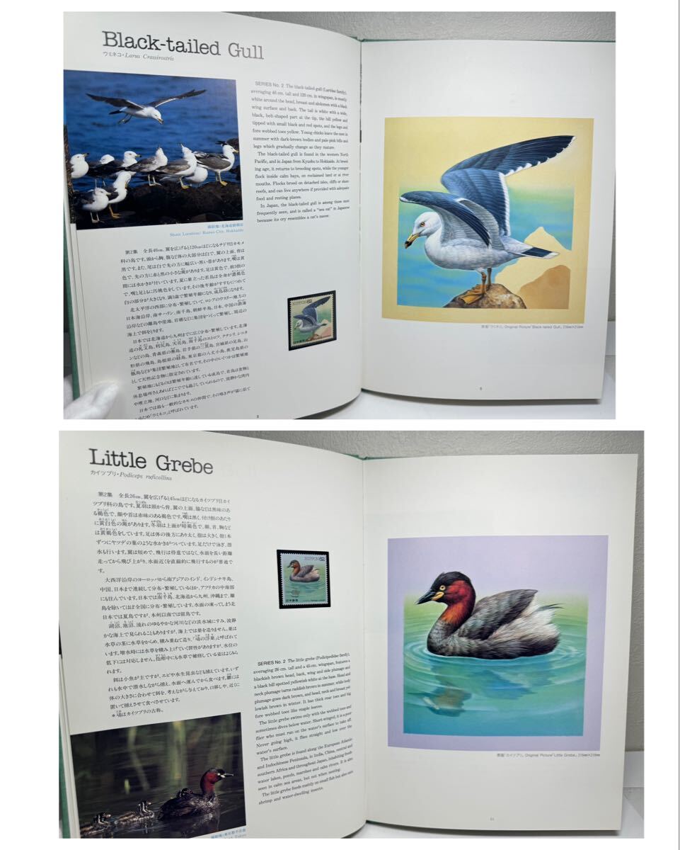 平成5年 1993年発行 水辺の鳥 62円切手 16枚セット 切手帳付き_画像3