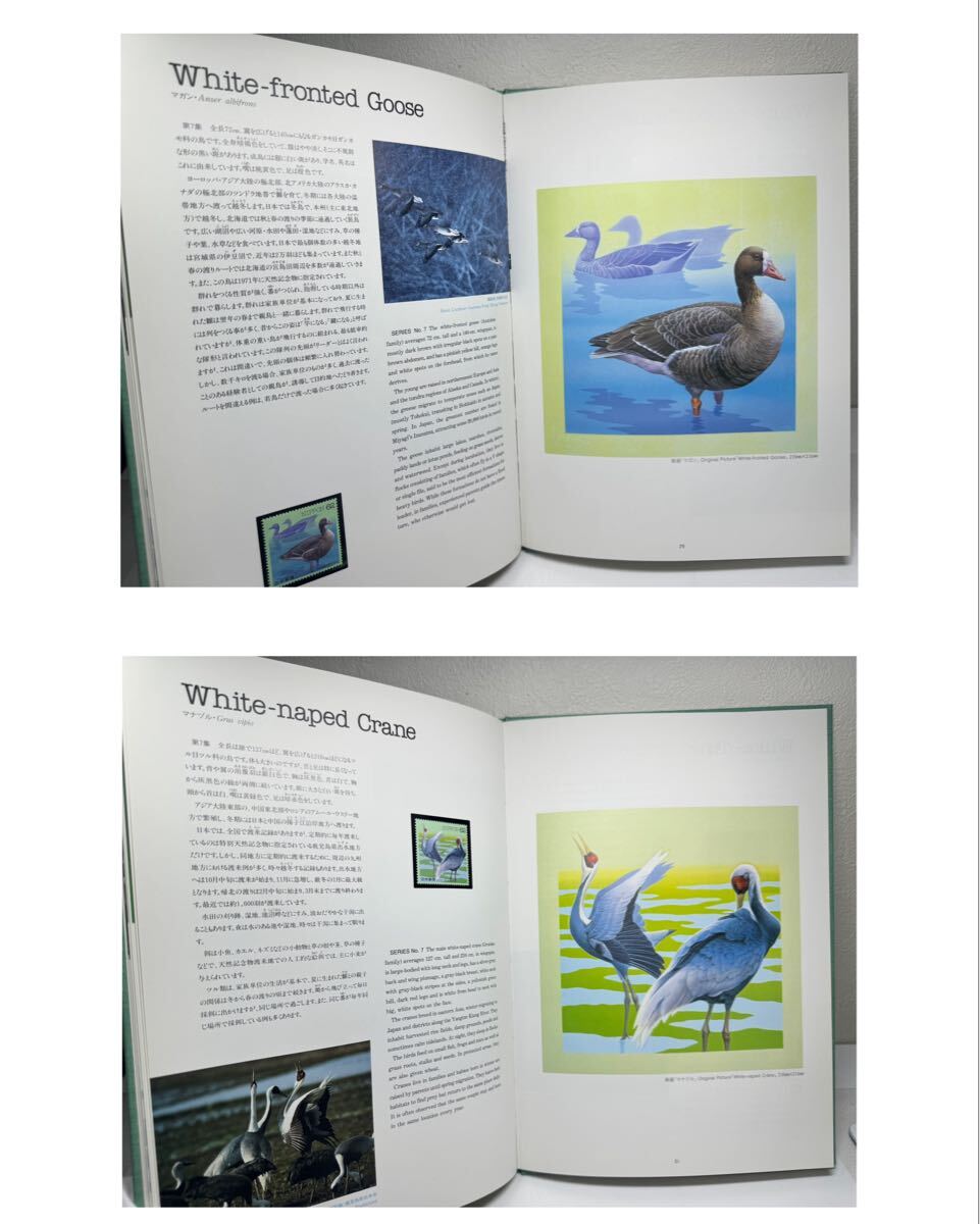 平成5年 1993年発行 水辺の鳥 62円切手 16枚セット 切手帳付き_画像8