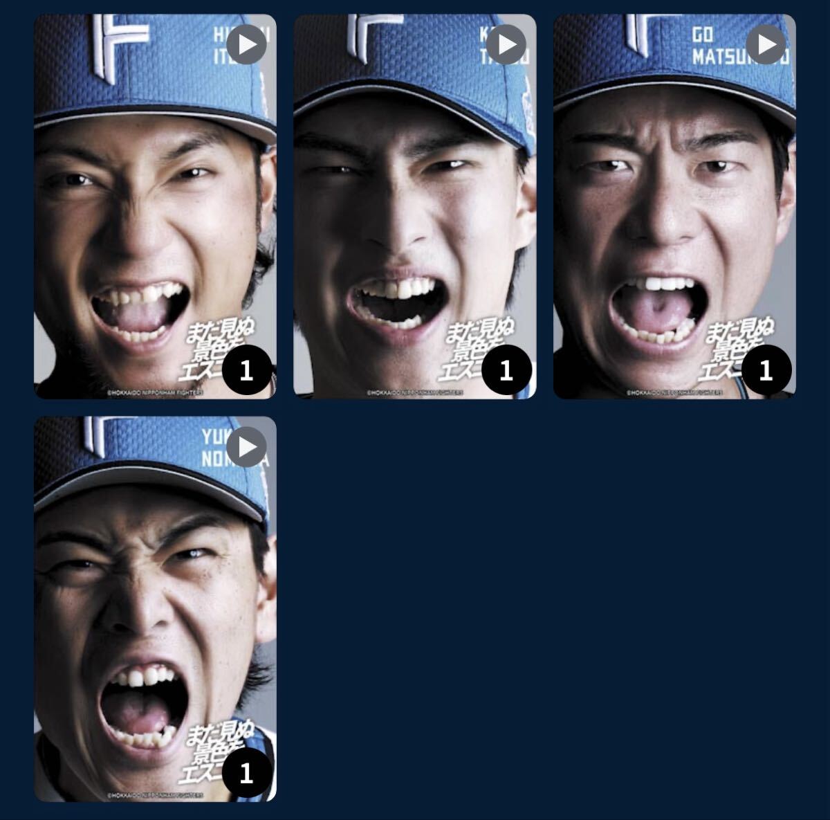 ファイターズトレカ　パーソル CSパ限定グルメ購入者限定トレカ　全10種　パスワードのみ_画像2