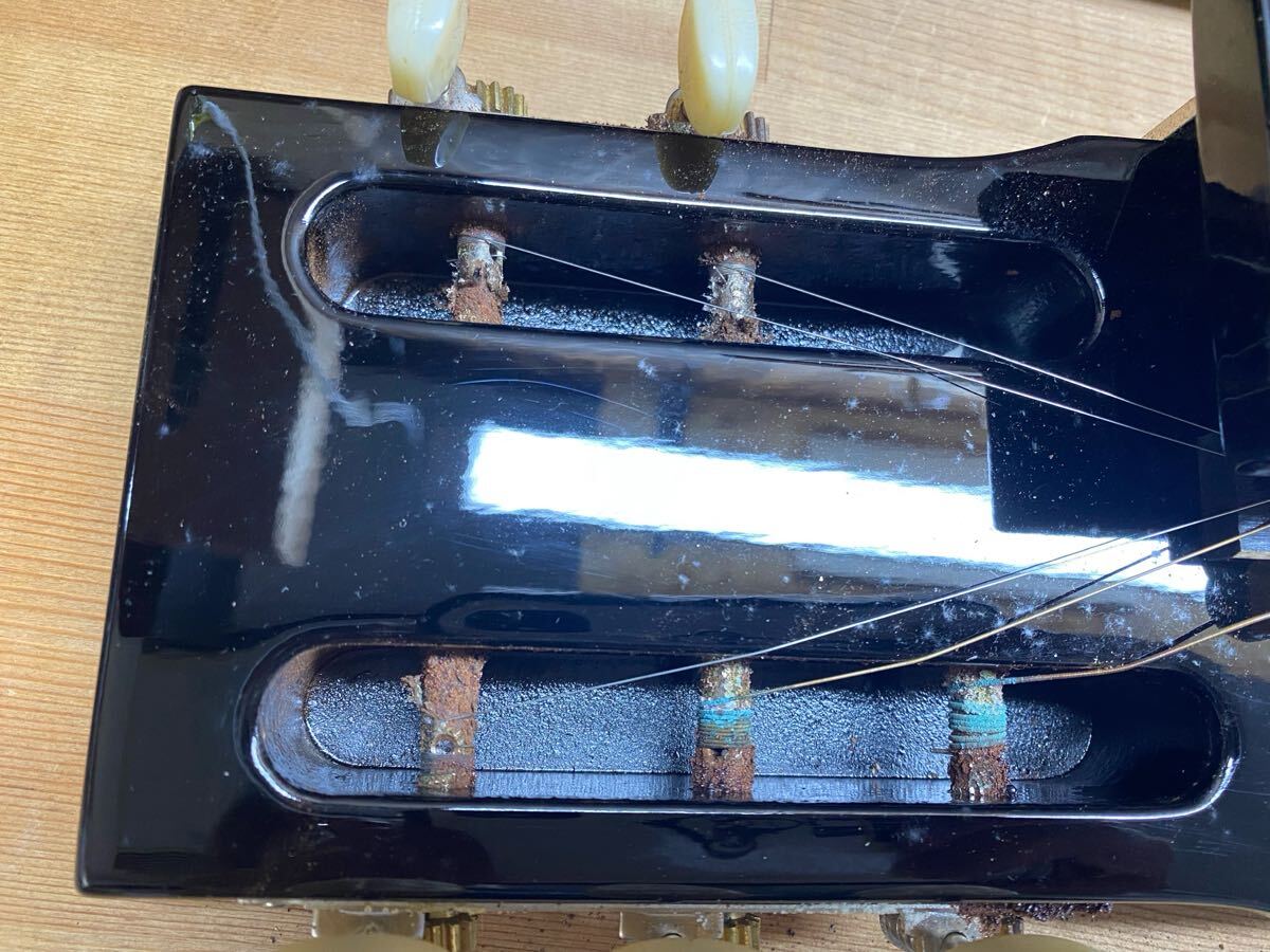  Taisho koto гора Фудзи . Sakura. оборудование орнамент 13 струна Koga . мужчина 