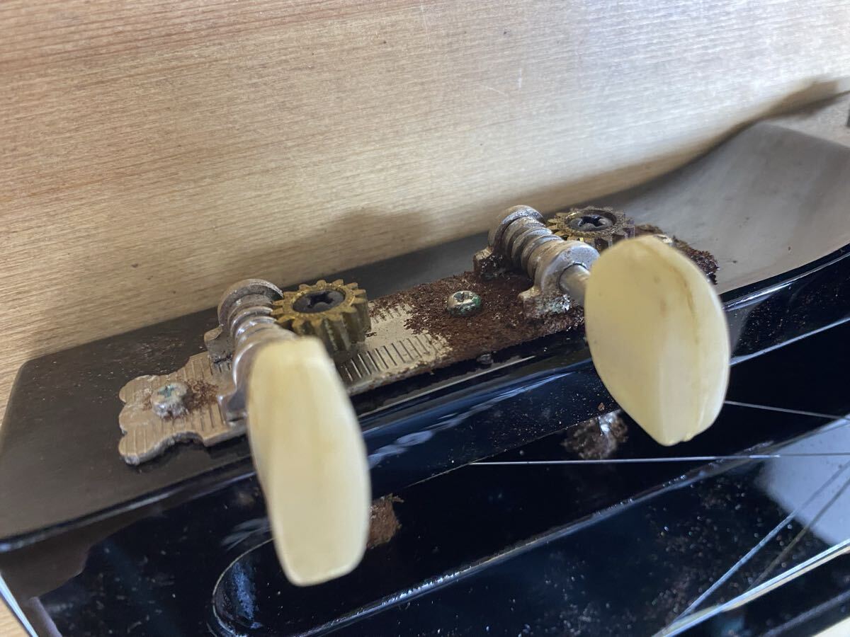  Taisho koto гора Фудзи . Sakura. оборудование орнамент 13 струна Koga . мужчина 