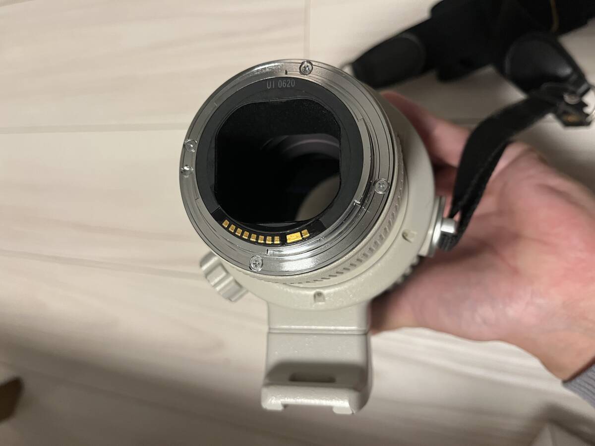 【美品】Canon EF 300mm f/2.8L USM キャノン 望遠レンズ_画像10