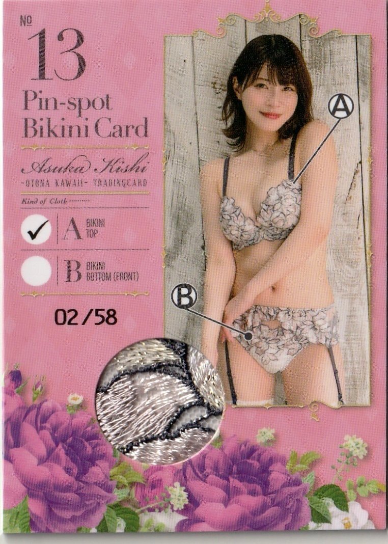 58 листов ограничение [. Akira день .~OTONA KAWAII~]2/58 булавка spo бикини карта 13( бюстгальтер ) WooHoo Girls Series 1 