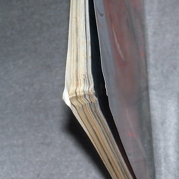 ●写真時代Jr. 1984年10月号　特集：堀江しのぶ、岡田有希子　他_画像3