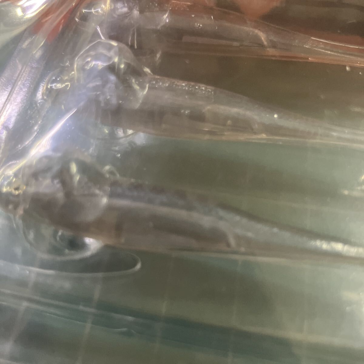 レイドジャパン ワーム リトルスイーパー 2.5インチ ステルススモーク_画像6