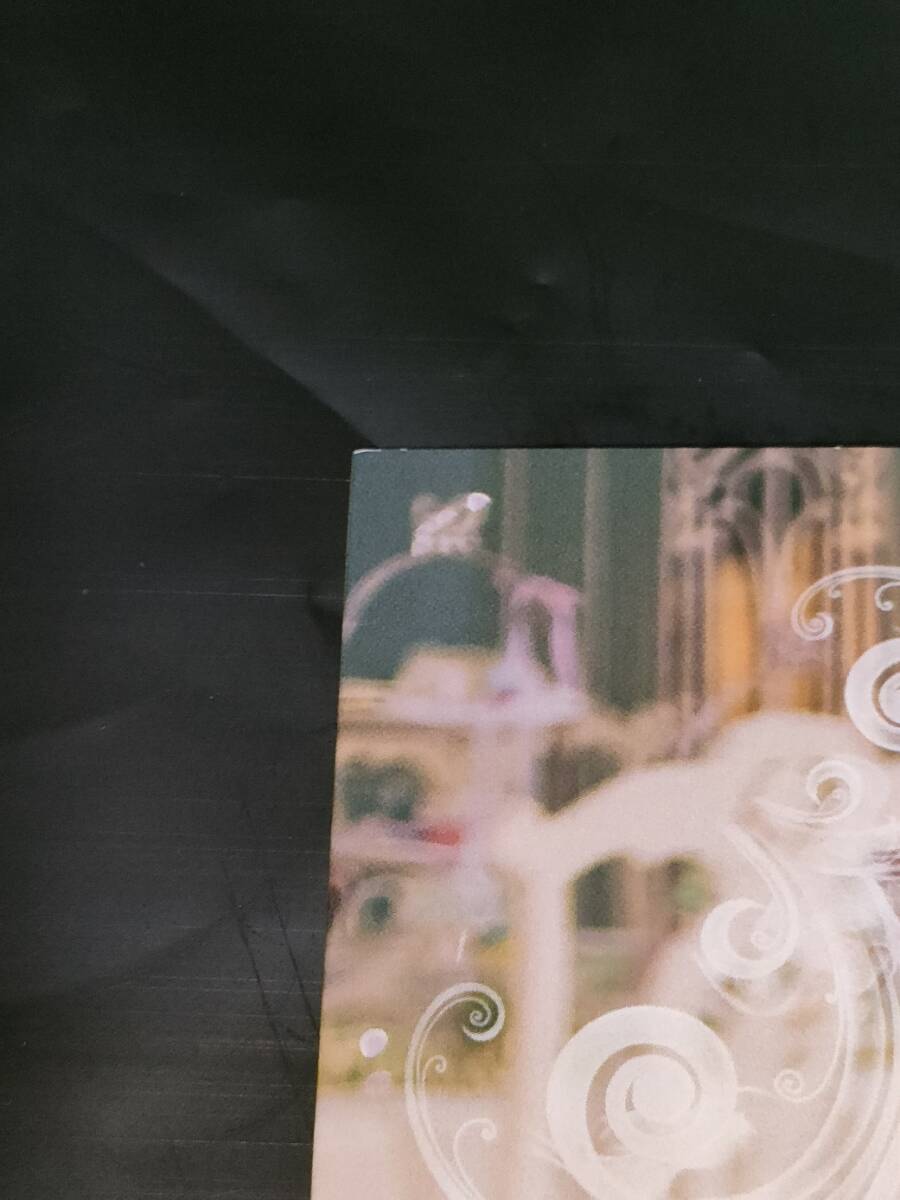 さちぶどう kain コスプレ同人写真集 Mysterious Dream(イタミ有/説明をよくお読みください)_画像3