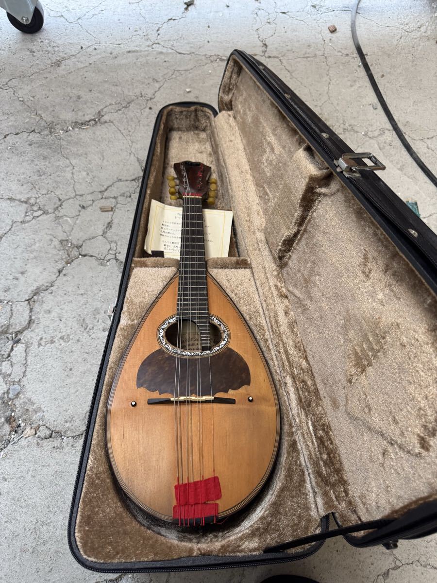 $ マンドリン 弦楽器 楽器 ソフトケース付き ナポリ パスアーレ ディサント_画像1