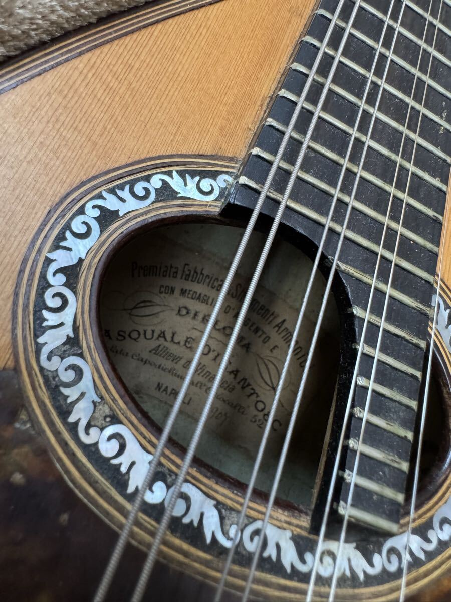 $ マンドリン 弦楽器 楽器 ソフトケース付き ナポリ パスアーレ ディサント_画像2