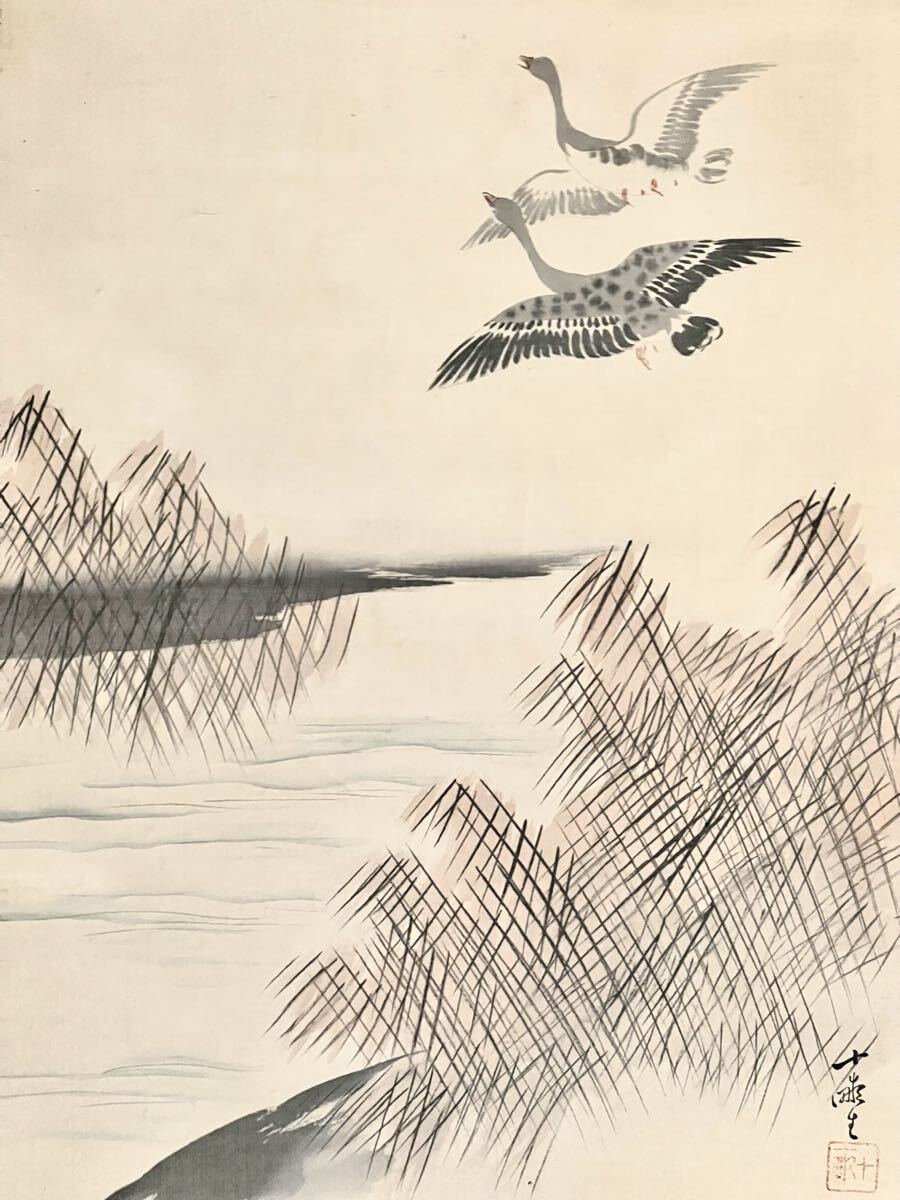 【真作】【S8】荒木十畝「群鴨図」絹本 肉筆 秋景 風景画 花鳥図 鳥獣 絵画 掛軸 明治-昭和時代の日本画家 長崎の人 師: 荒木寛畝_画像4