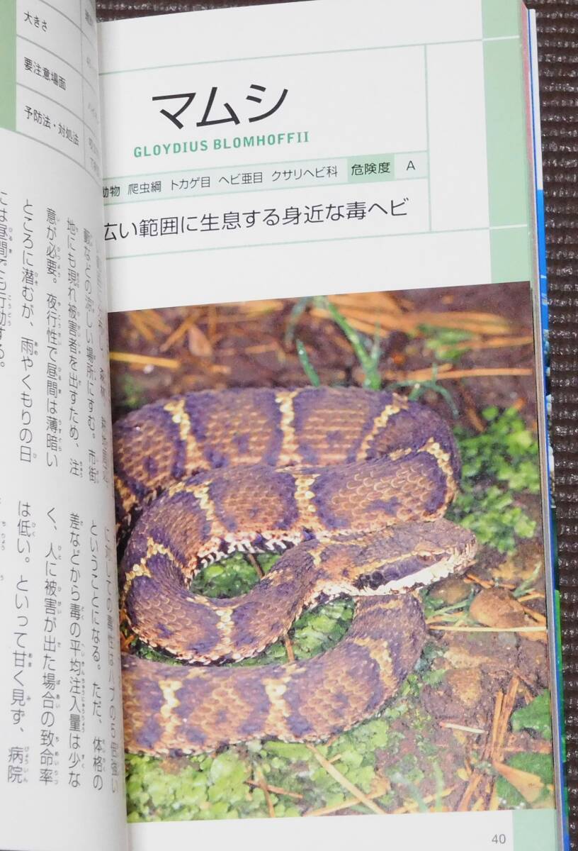 猛毒生物図鑑 日本文芸社 1円～ _画像4