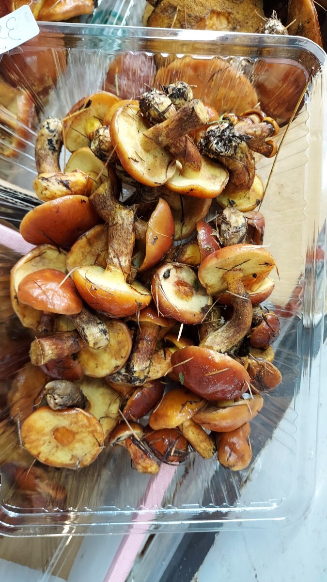 青森ハナイクジ130g1p1000円即決。11/8まで_画像2