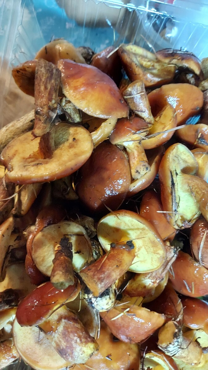 青森ハナイクジ130g1p1000円即決。11/8まで_画像3