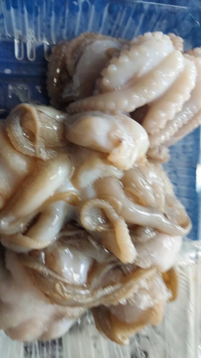 天然いいだこ10cm15匹セット1750円即決_画像1