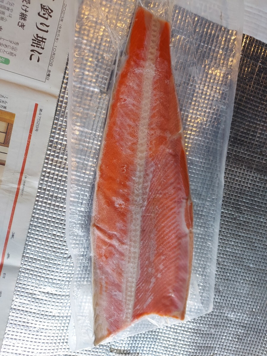 紅鮭半身40cm 1枚1980円即決_画像1