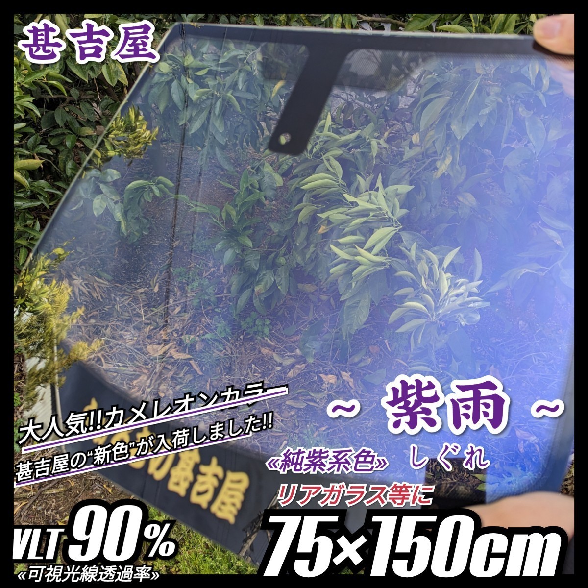 《新品》ウィンドウフィルム ~紫雨しぐれ~ カメレオンカラー 純紫系色 プライバシー保護 ふ飛散防止 洒落 縦75cm×横150cm リアガラス等_画像1