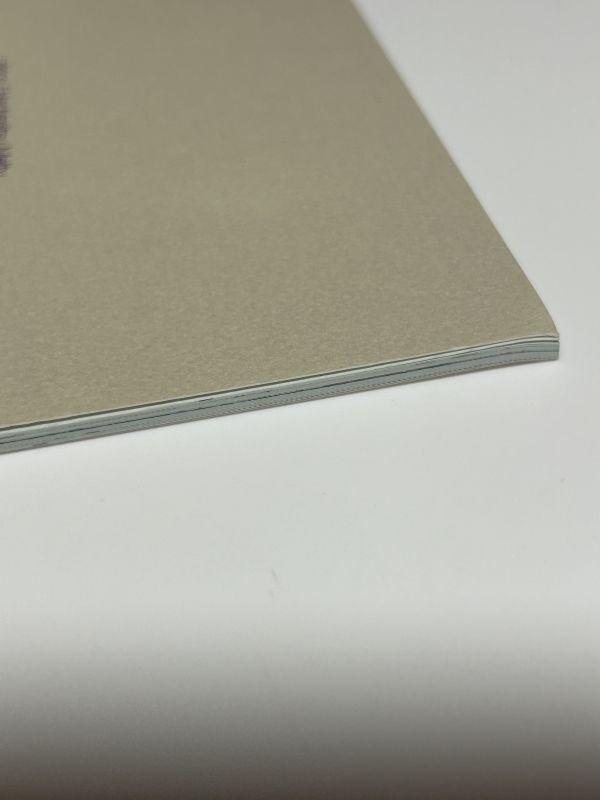 40p[鬼滅の刃](はちみつメルティ /りりこ)ただ、気がついたら、 ぎゆしの 冨岡義勇×胡蝶しのぶ /40p_画像3