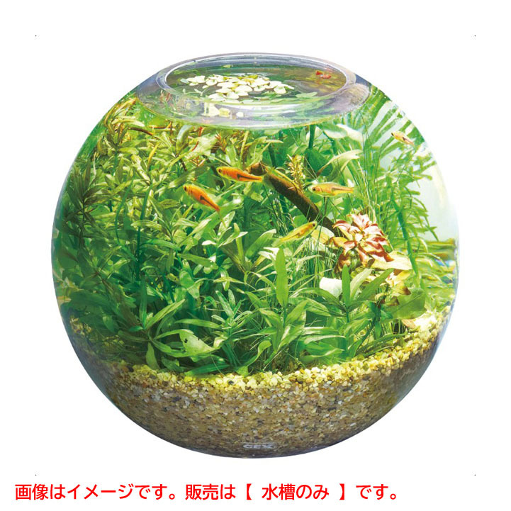D8234YO ◆1120_5凹【アウトレット品】MeGreen 新鮮な水草付き ジェックス グラスアクアスフィアセット 水槽セット 砂付き 未使用_画像1
