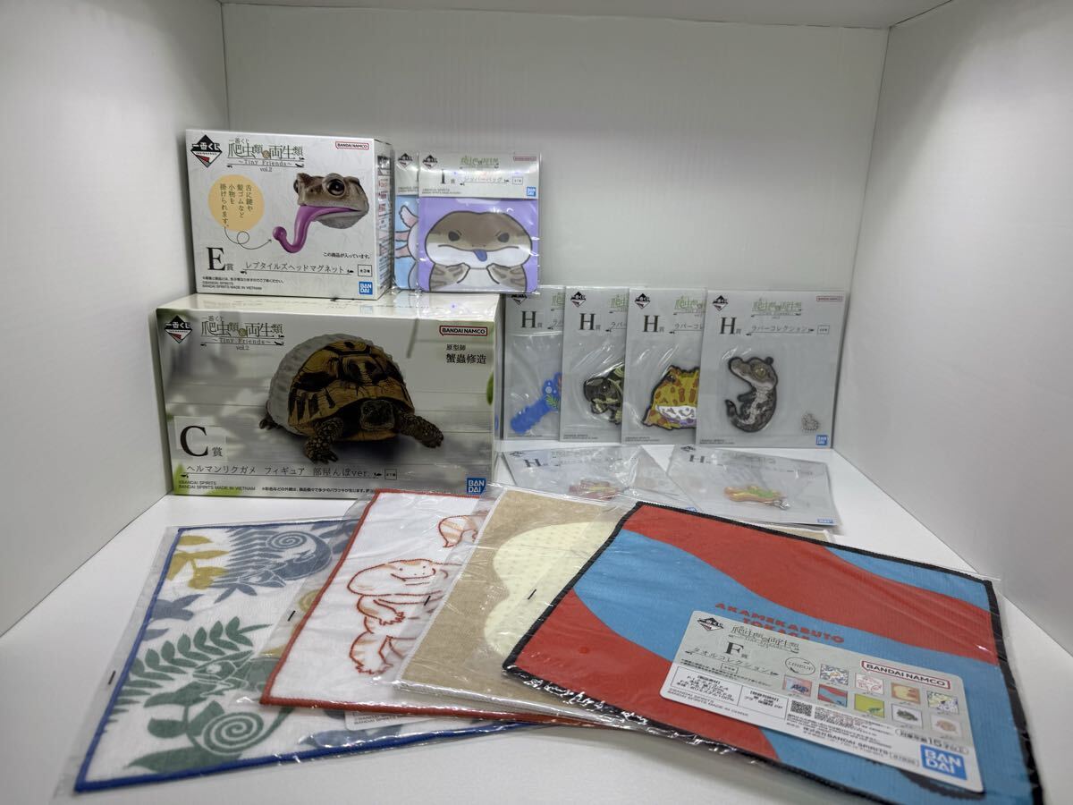 一番くじ 爬虫類＆両生類～Tiny Friends～ E賞 タオルコレクション