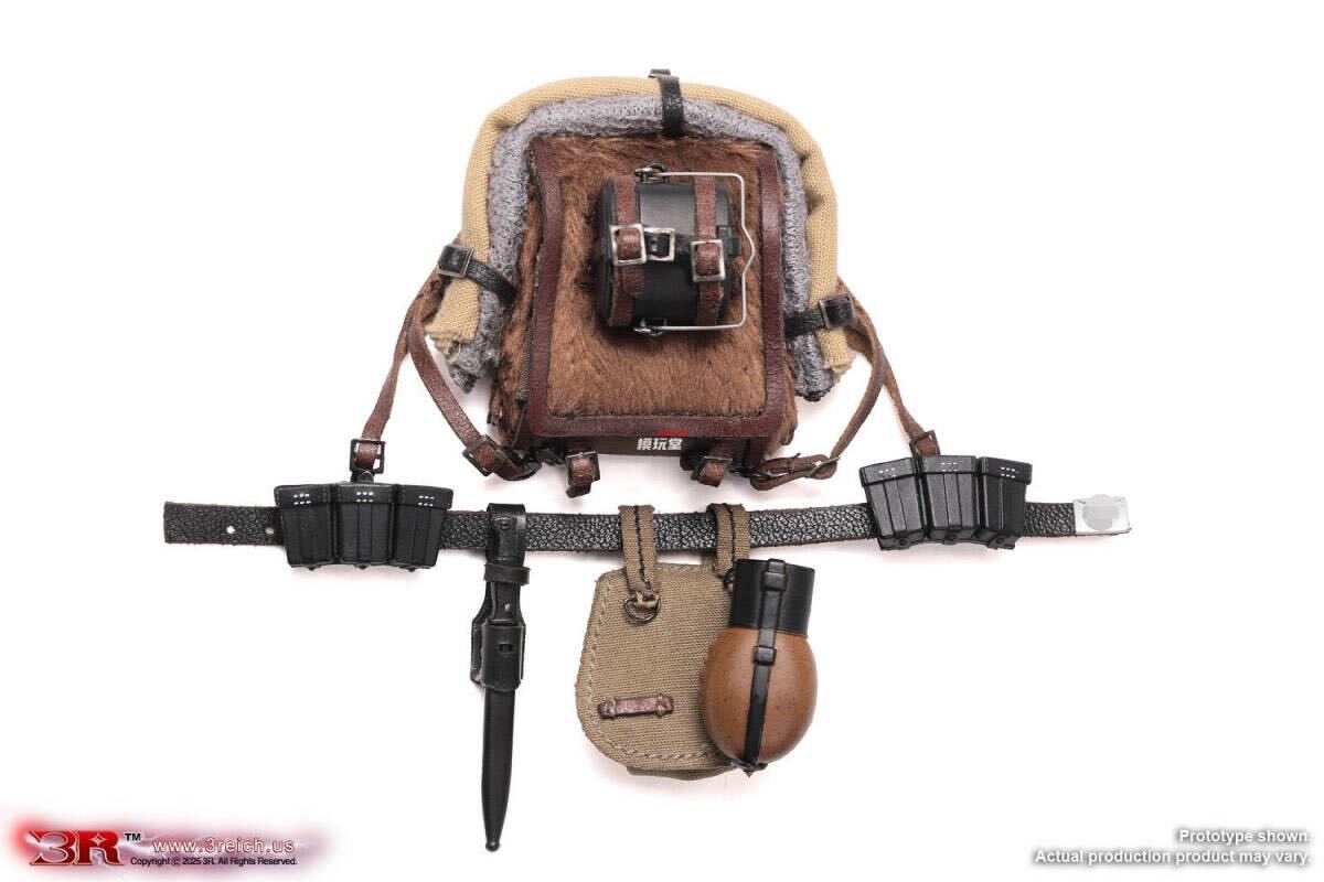 3R 1/12 『エンパイアシ リーズ』 WW2 ドイツ親衛隊 アチャード 未開封新品 TG80005 WW2 SS Honor Guard Archard 検) DID 3R DAMTOYS_画像8