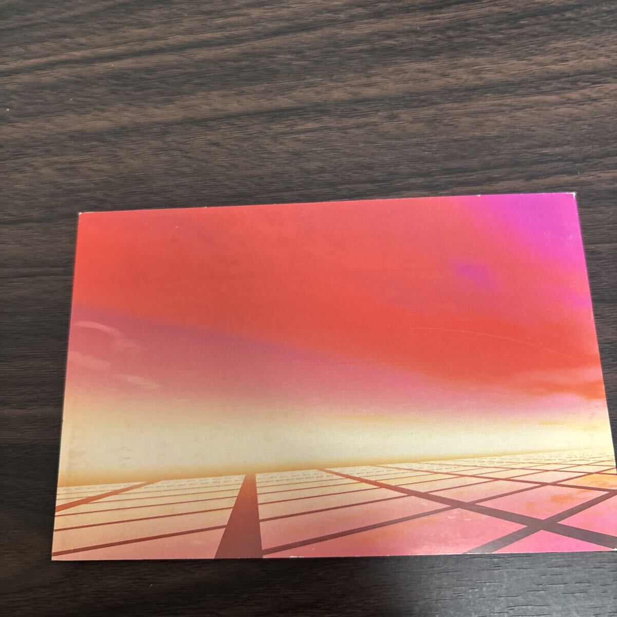 船舶　絵葉書　M.V.BEL BEST_画像5