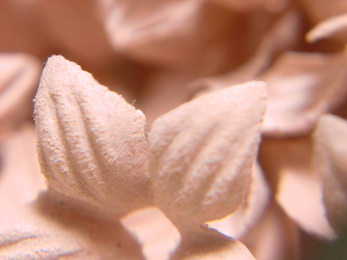 60個♪■立体的なお花パーツ♪■5弁花22mm■Ltピーチ♪_画像7