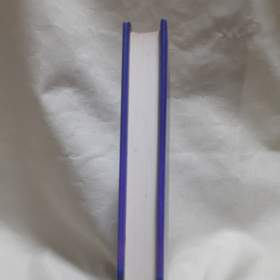 吉村昭(小説　尾崎放哉)「海も暮れきる」講談社四六判ハードカバー_画像3