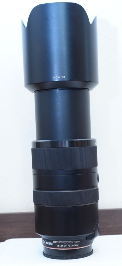 SONY SAL70300G 70-300mm F4.5-5.6 G SSM_画像4