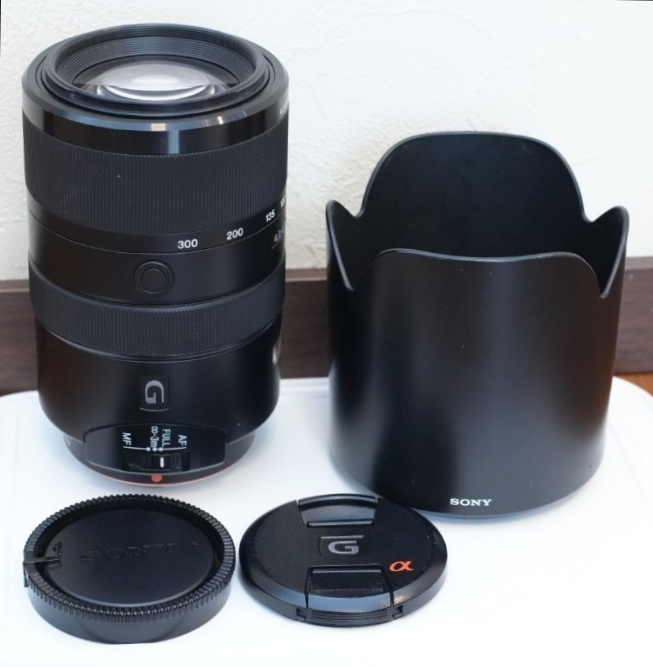 SONY SAL70300G 70-300mm F4.5-5.6 G SSM_画像1