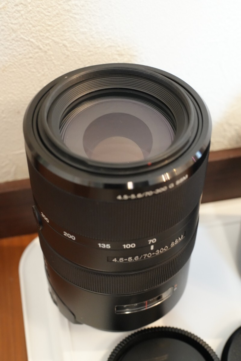 SONY SAL70300G 70-300mm F4.5-5.6 G SSM_画像6