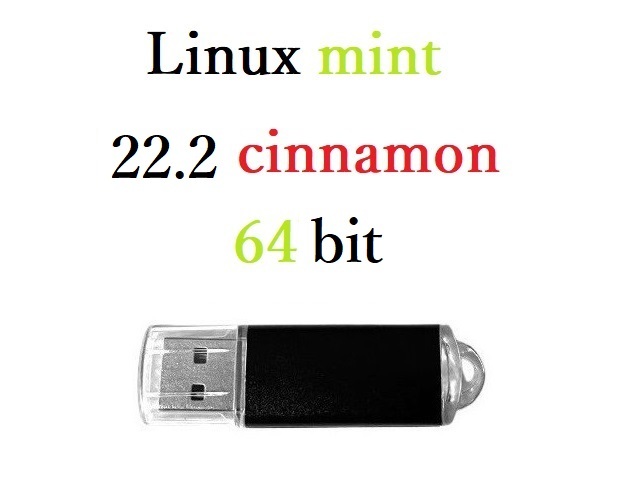 ♯3 Linux Mint 22.2 cinnamon 64bit インストールUSB_画像1