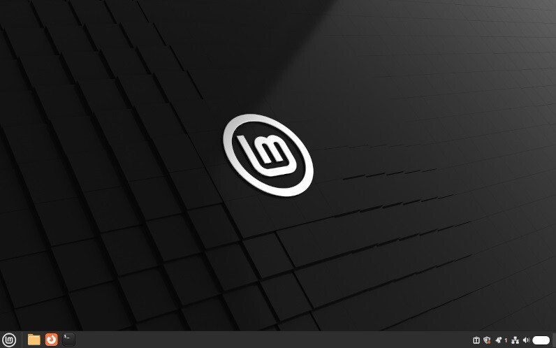 ♯3 Linux Mint 22.2 cinnamon 64bit インストールUSB_画像2