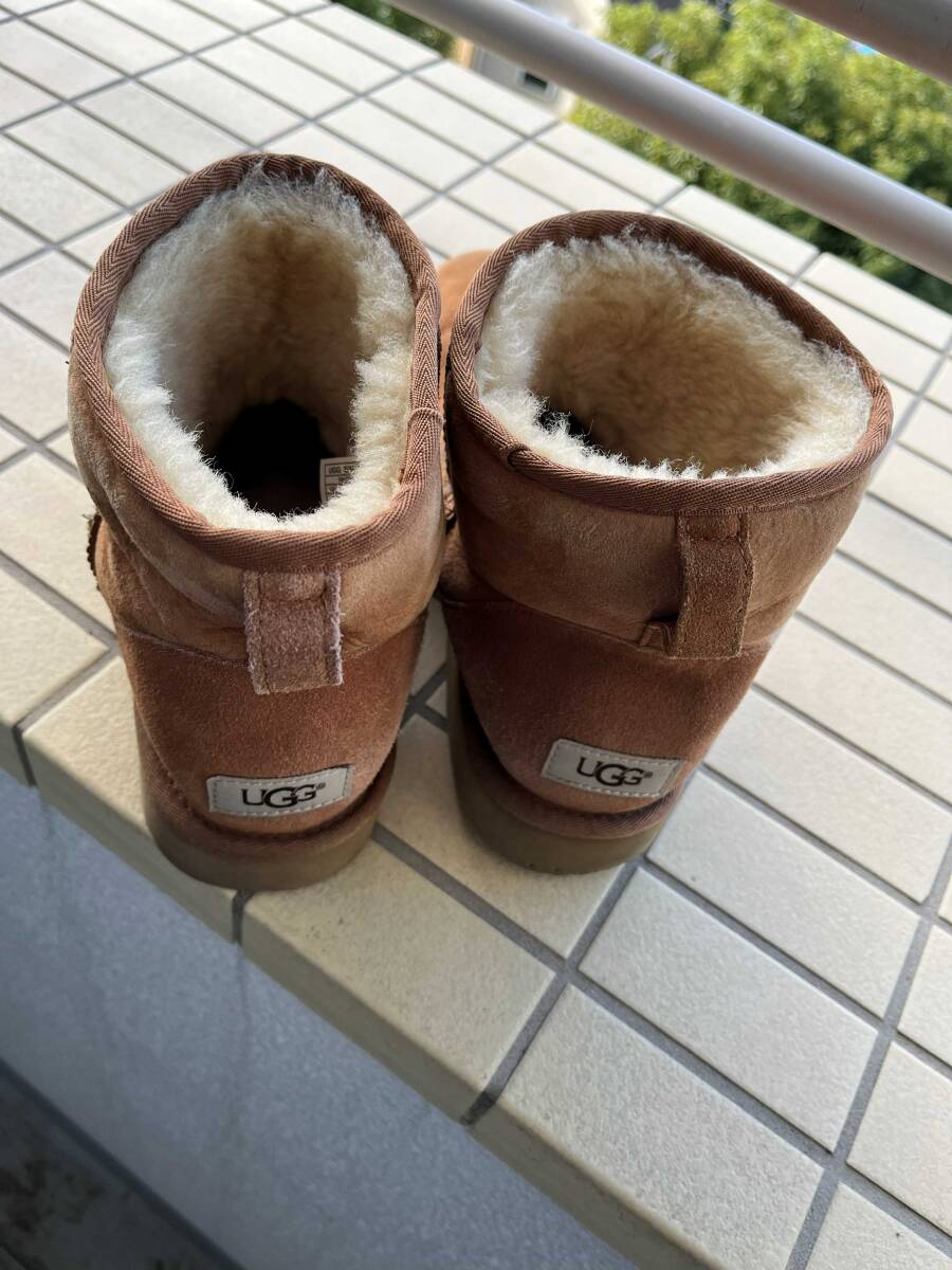 UGG UGG ботинки мужской Brown 28cm