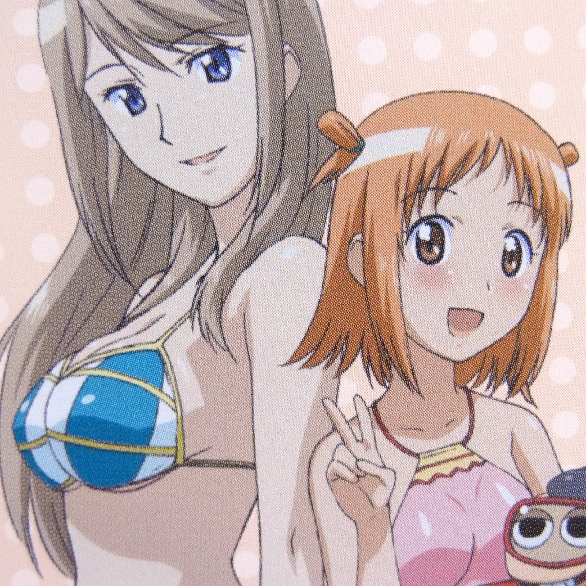 レアテレカ!! 未使用 テレカ 50度数×1枚 非売品 極上生徒会 蘭堂りの×銀河久遠 PS2 ゲーマーズ購入特典 ☆_画像7